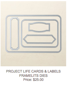 Project Life Cards & Labels Framelits #135707