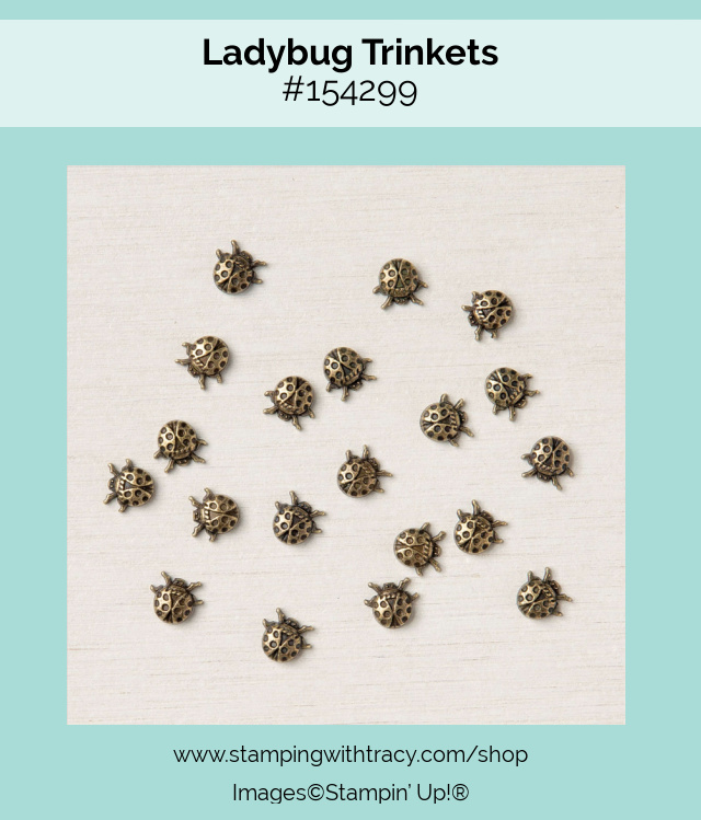 Ladybug Trinkets