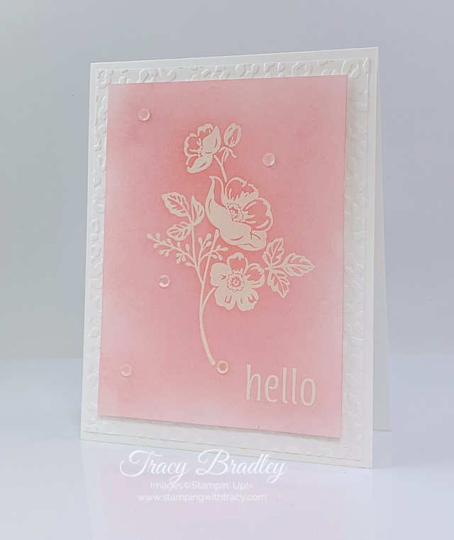 Shaded Summer Cling Stamp Set 