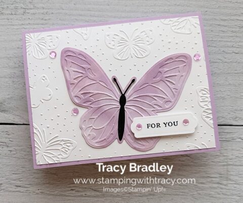 Sneak Peek of Beautiful Butterflies Bundle - Stamping With Tracy