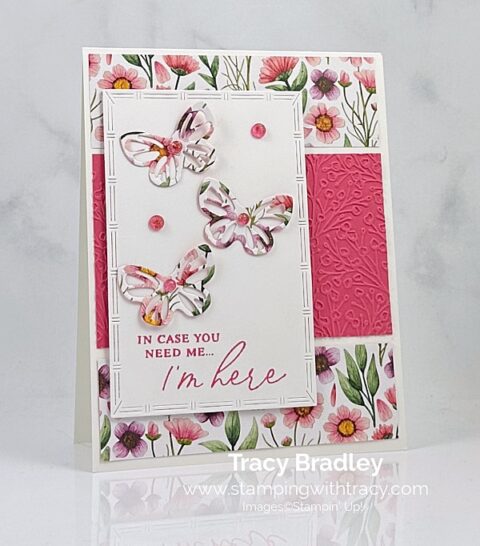 Beautiful Butterflies Bundle - Stamping With Tracy